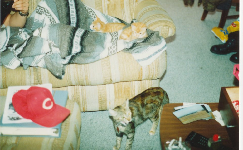 Image22