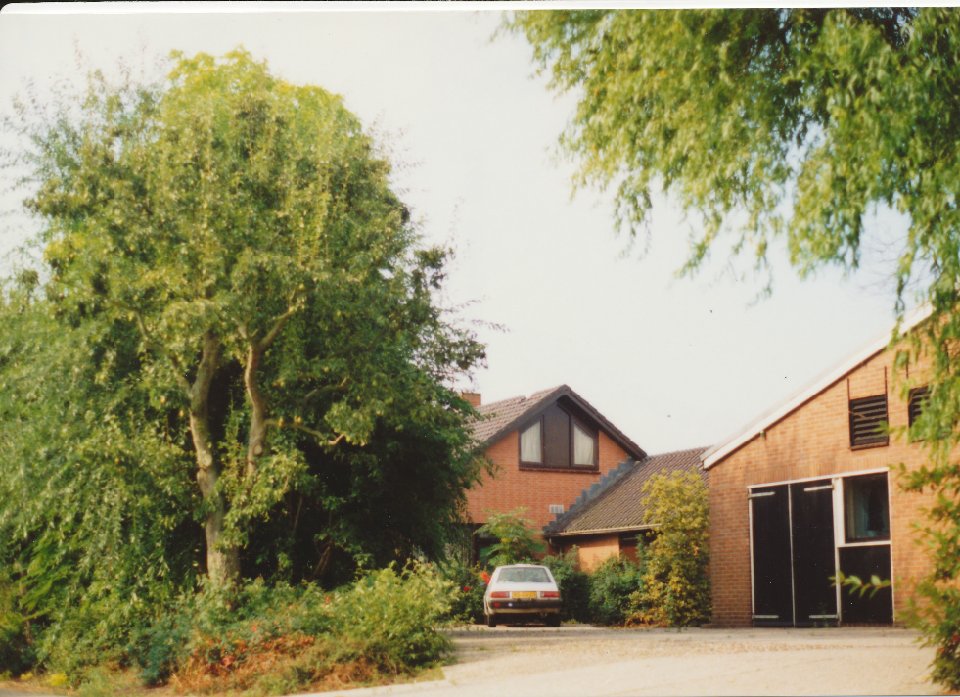 Image36