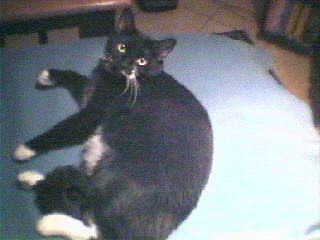 DSC 0002