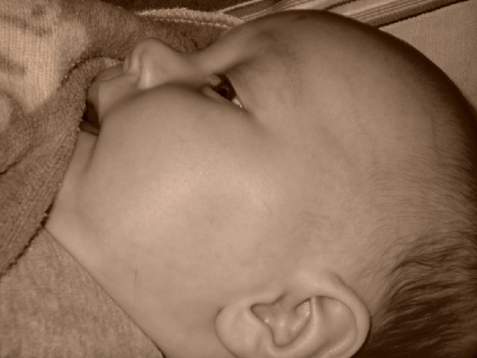 PICT0189