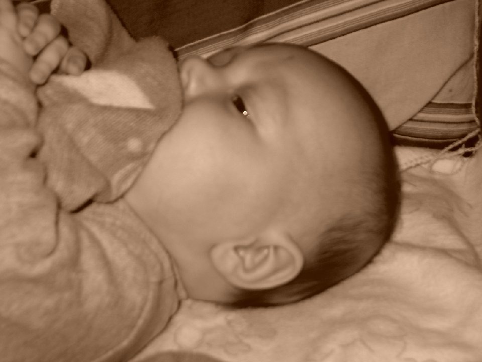 PICT0191