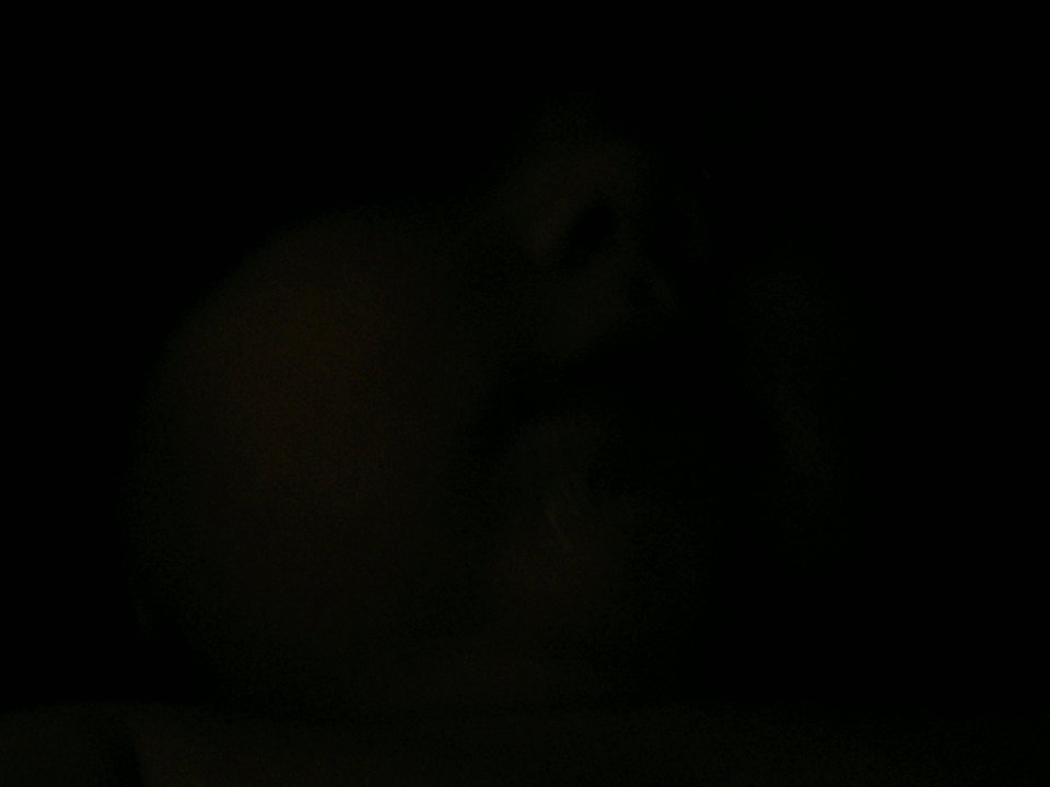 PICT0794