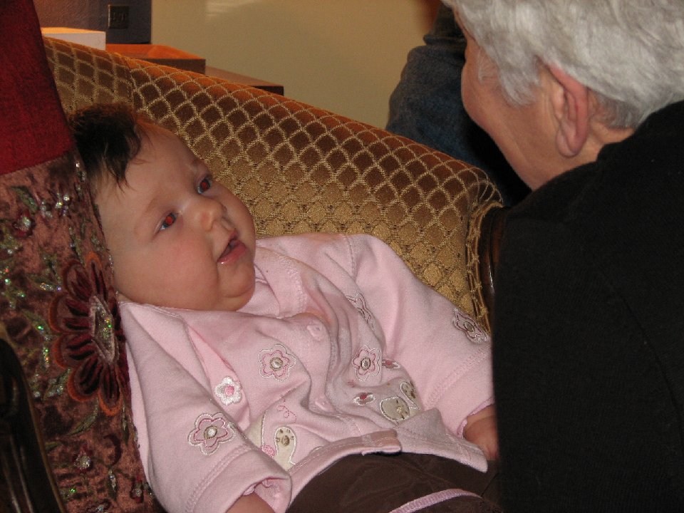 IMG 0679