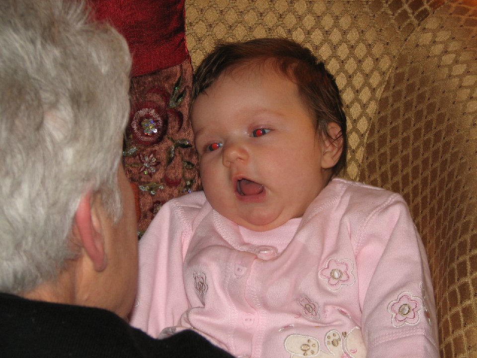 IMG 0682