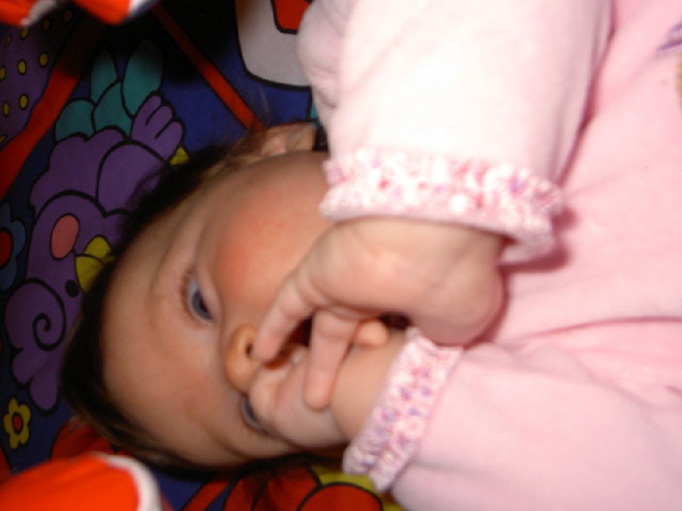 PICT7949