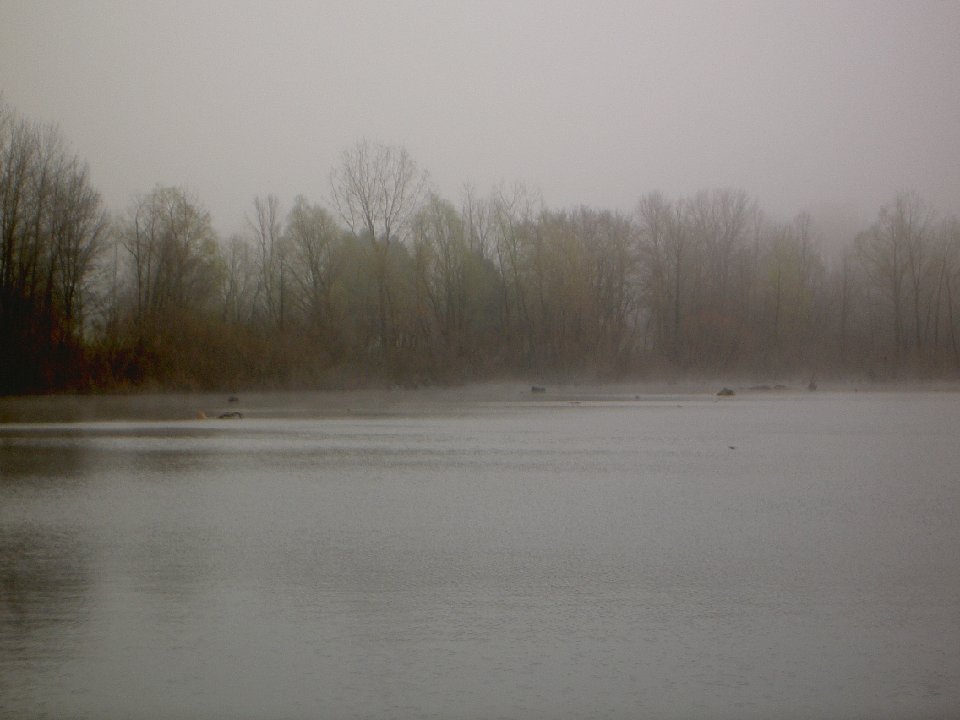 PICT0041