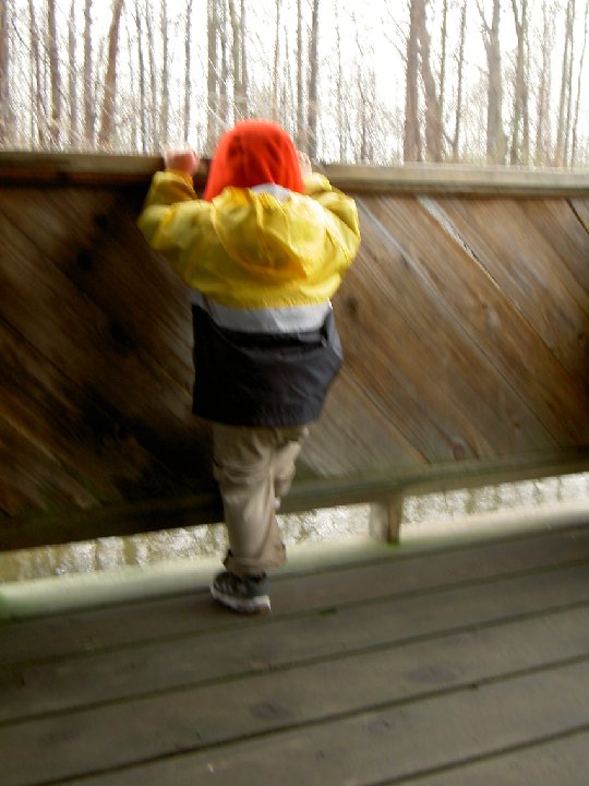 PICT0043