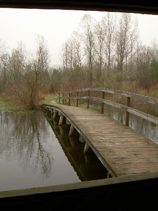 PICT0047