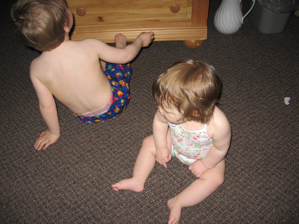 IMG 0010