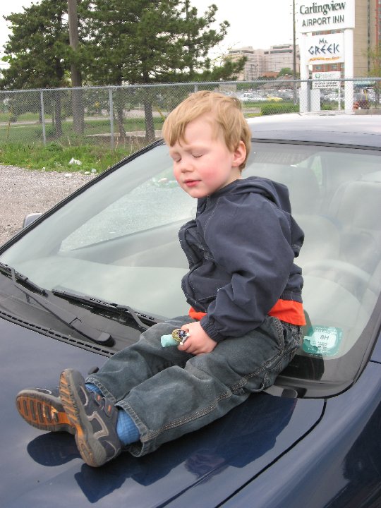 IMG 0695