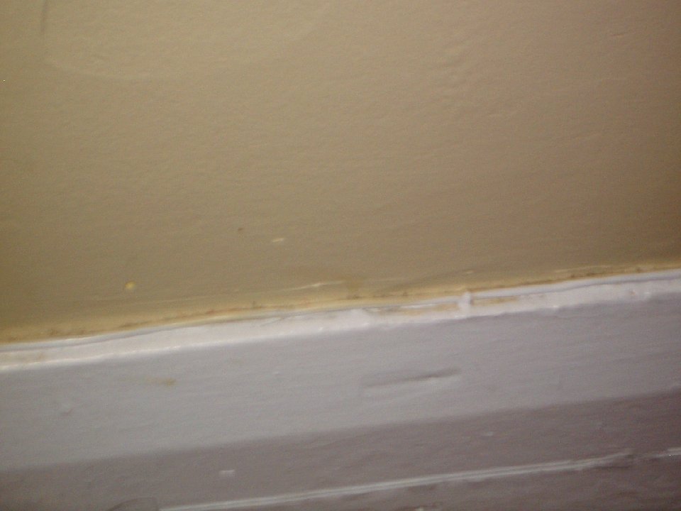 PICT0270