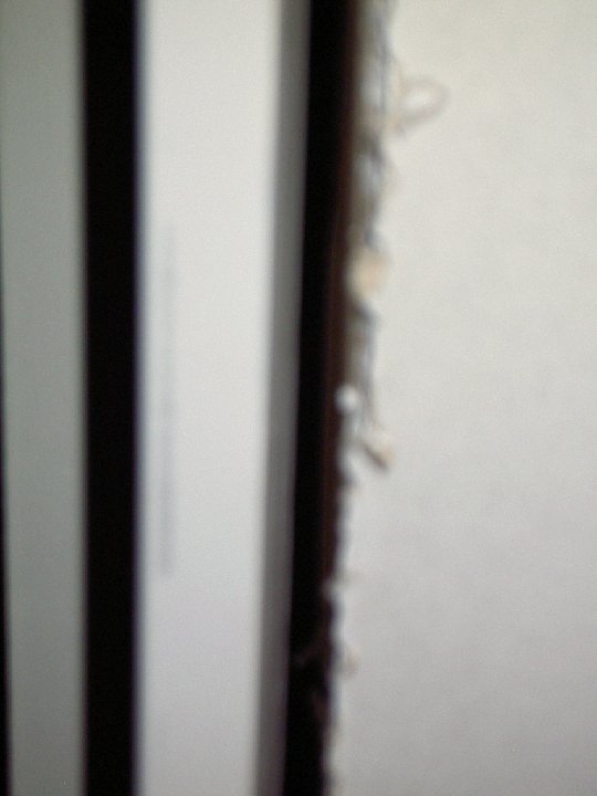 PICT0276