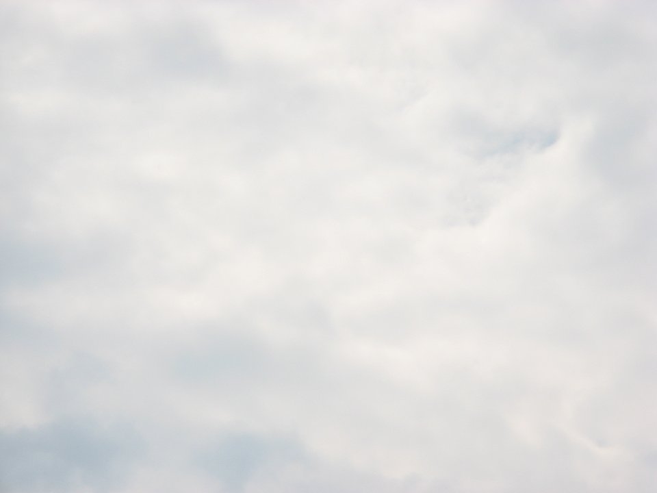 IMG 0077