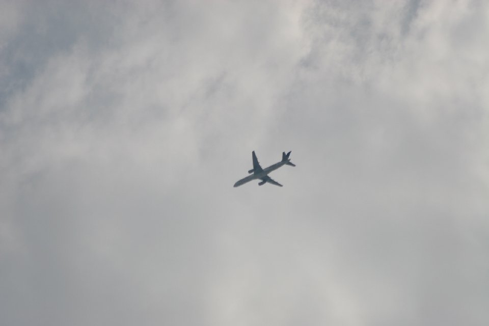 IMG 0943