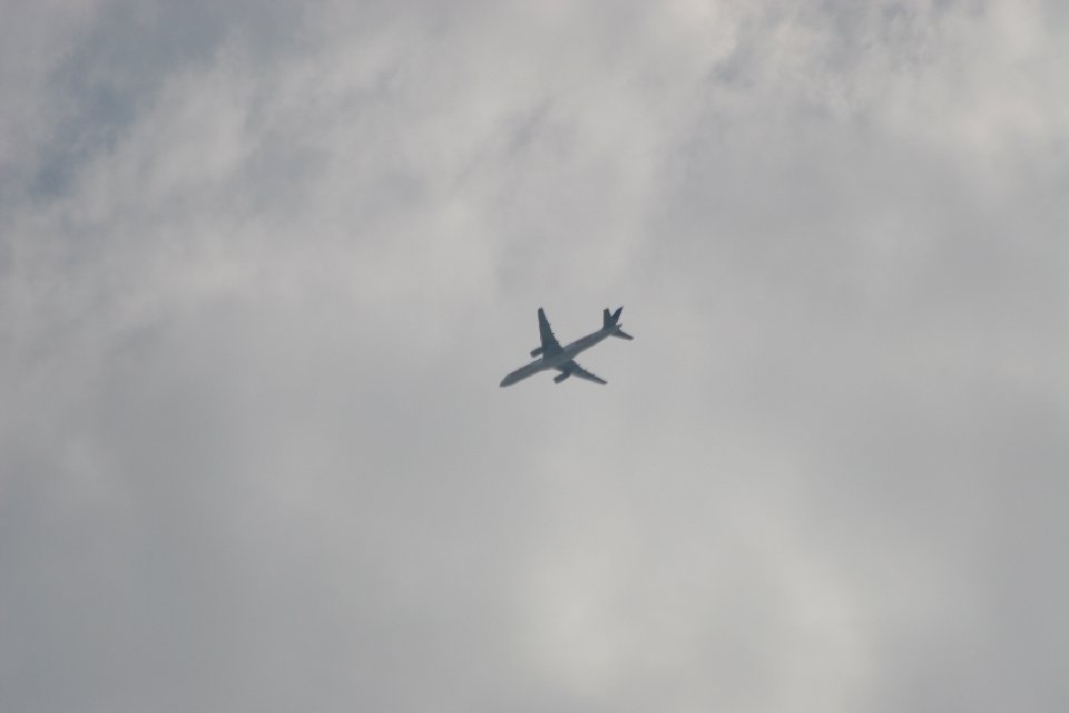 IMG 0944