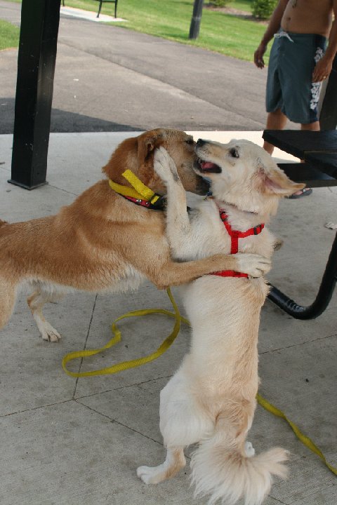 IMG 0971