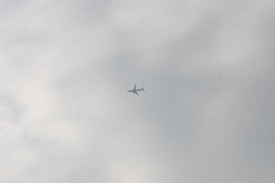 IMG 0974