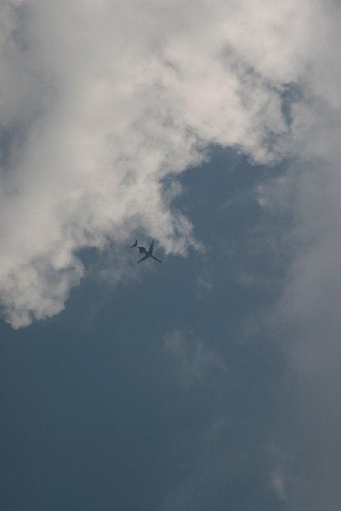 IMG 0991