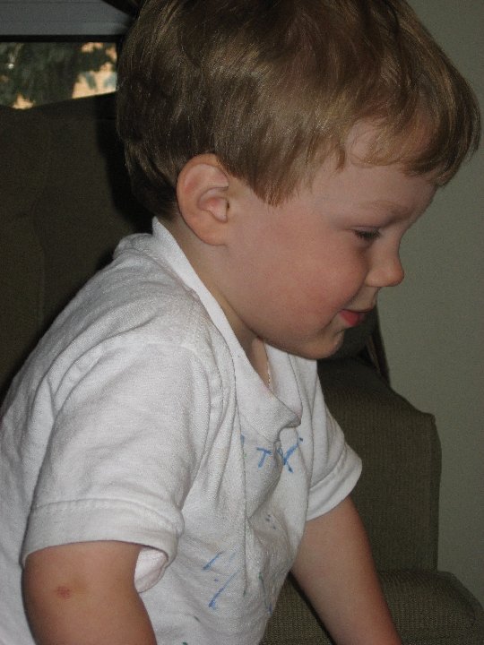IMG 1630