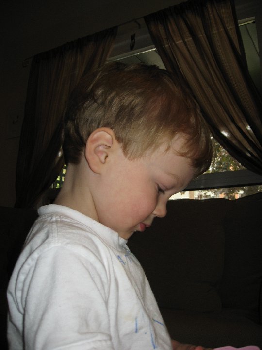 IMG 1637