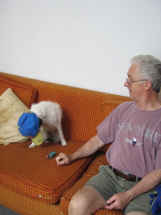 IMG 0260