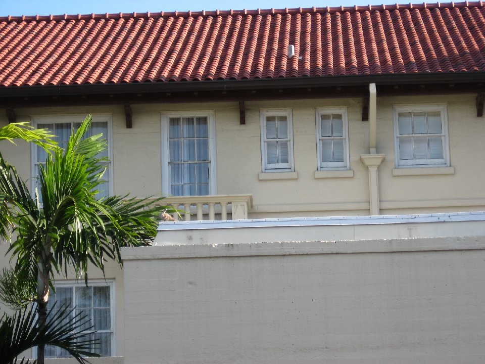 IMG 0326