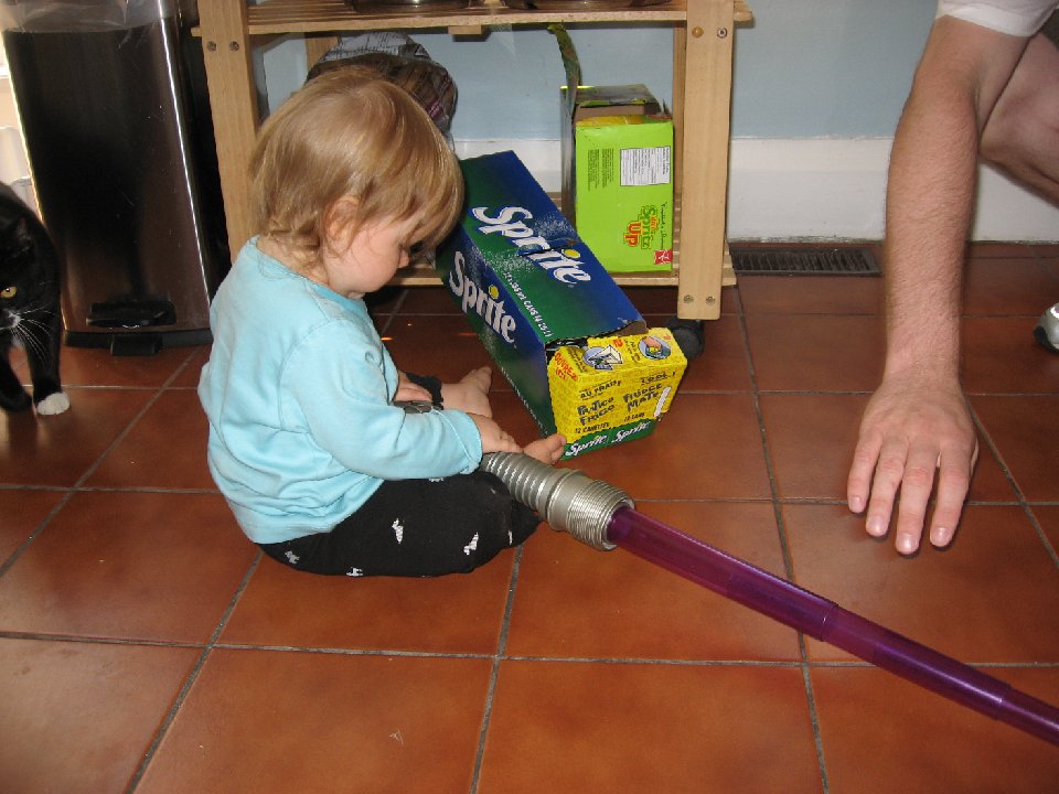 IMG 0511