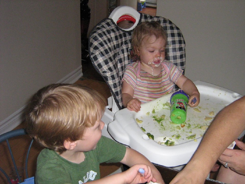 IMG 0695