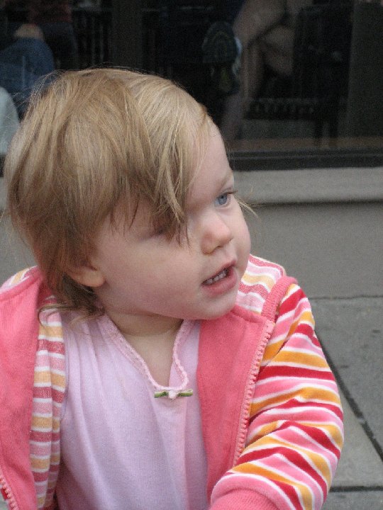 IMG 0098