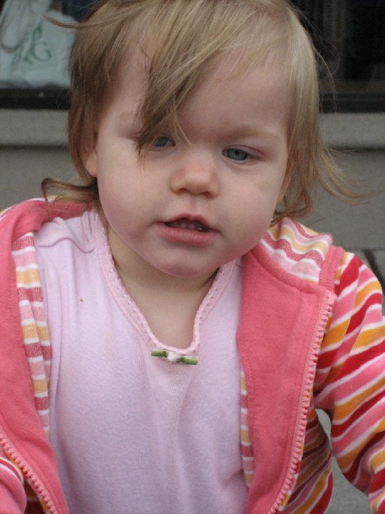 IMG 0099