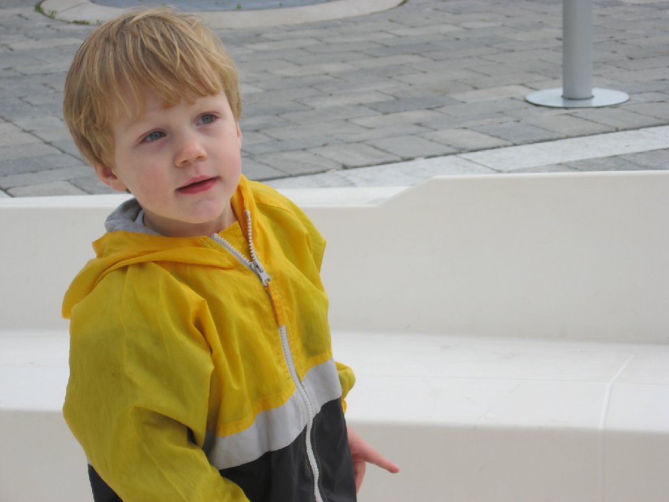 IMG 0569