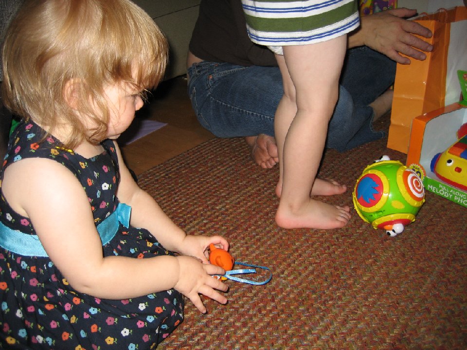 IMG 0462