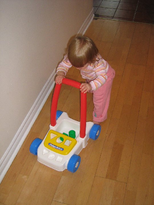 IMG 1183