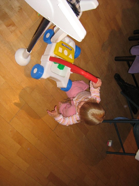 IMG 1187