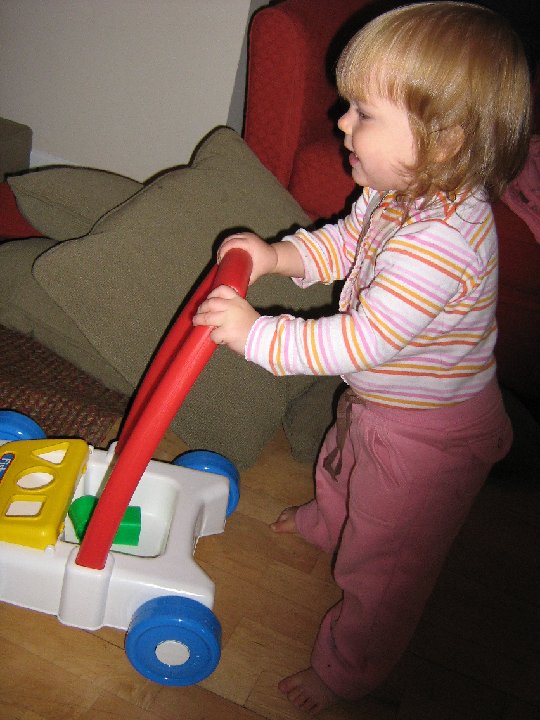 IMG 1192