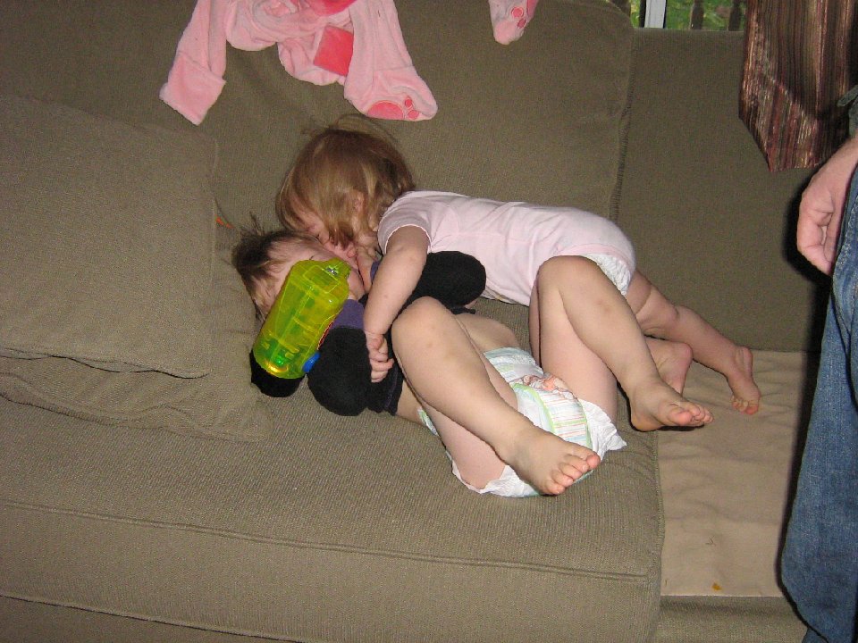 IMG 1312