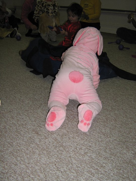IMG 1323