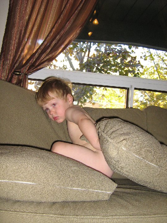 IMG 1343