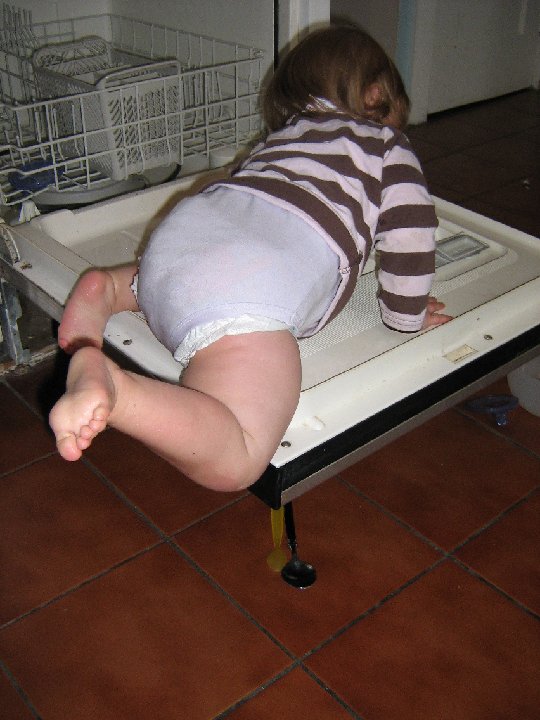 IMG 1364