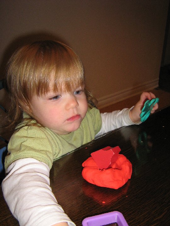 IMG 1383