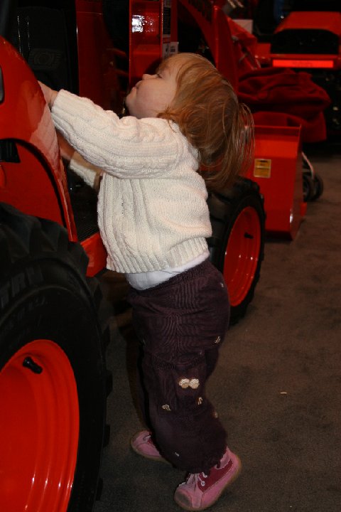 IMG 2536
