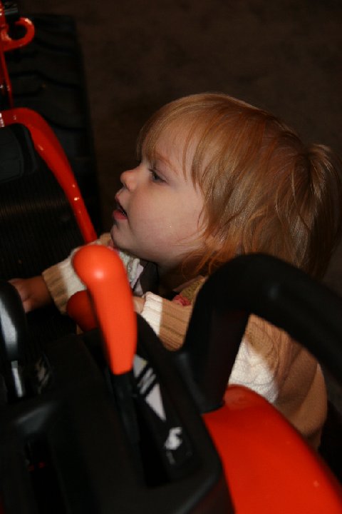 IMG 2537