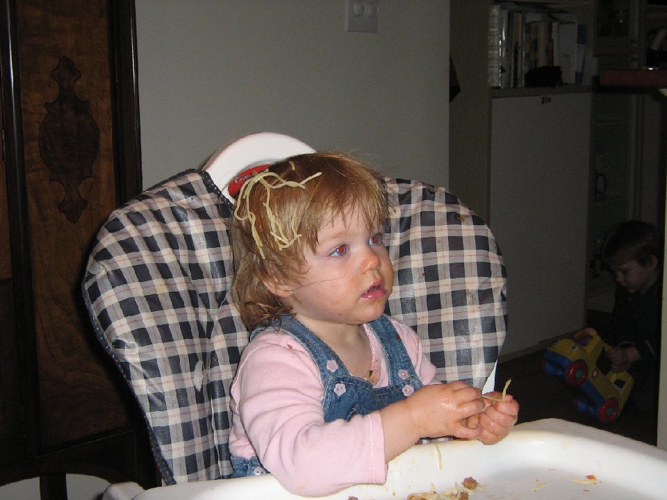 IMG 1529