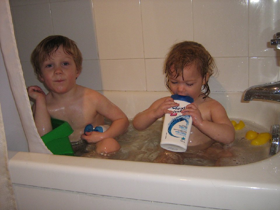 IMG 1550