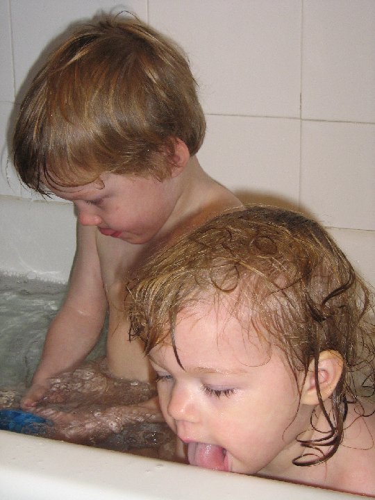 IMG 1556