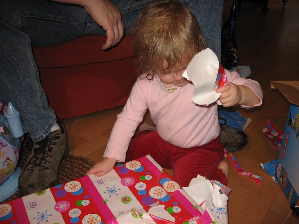 IMG 1313