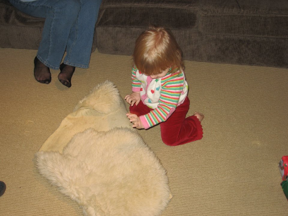 IMG 1341