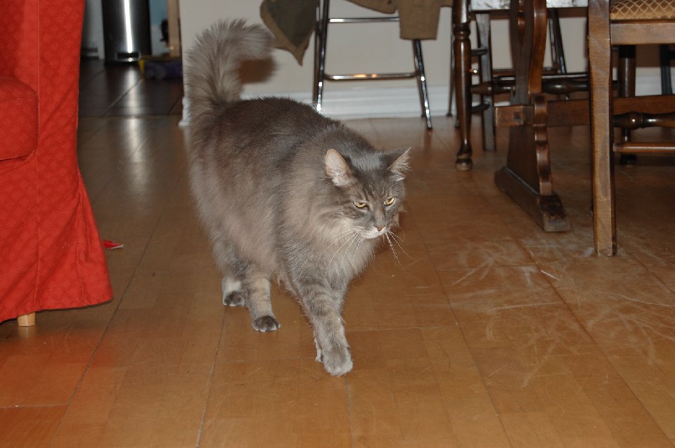 DSC 0169