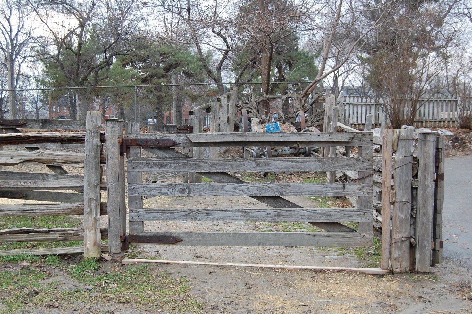 DSC 0305
