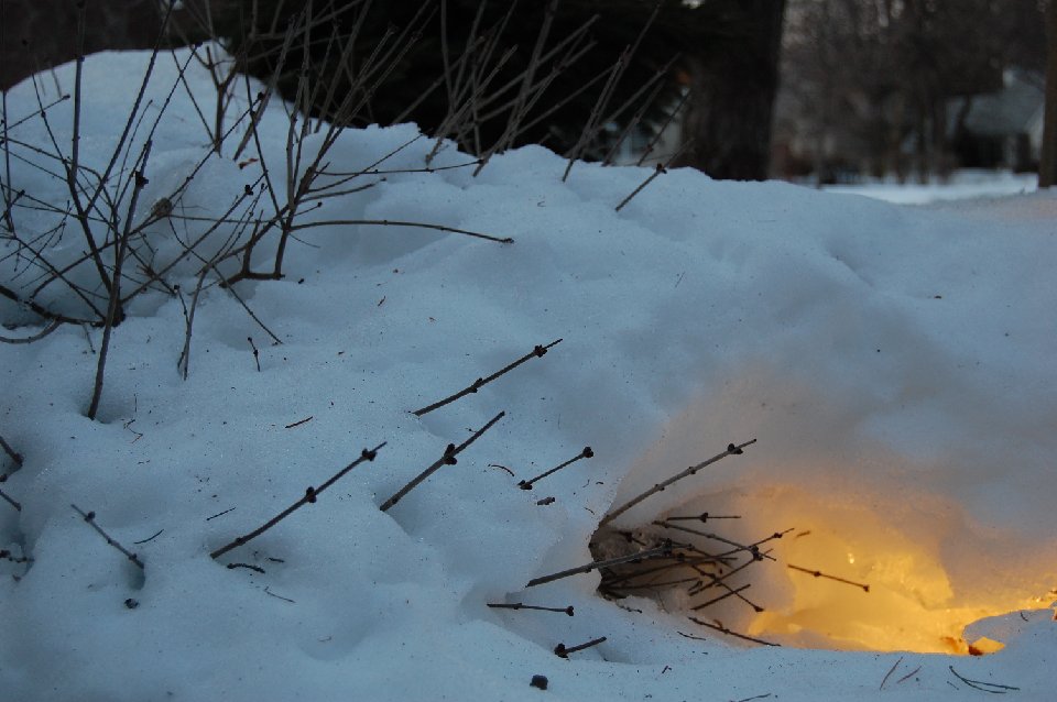 DSC 0099